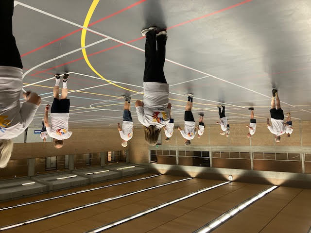 Harpa in actie